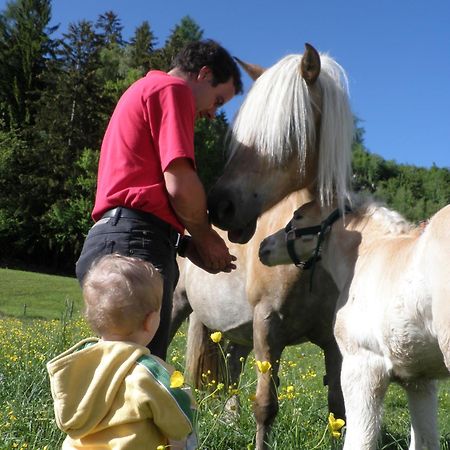 Ferienhaus "Zur Alten Schmiede" Mariahof Esterno foto