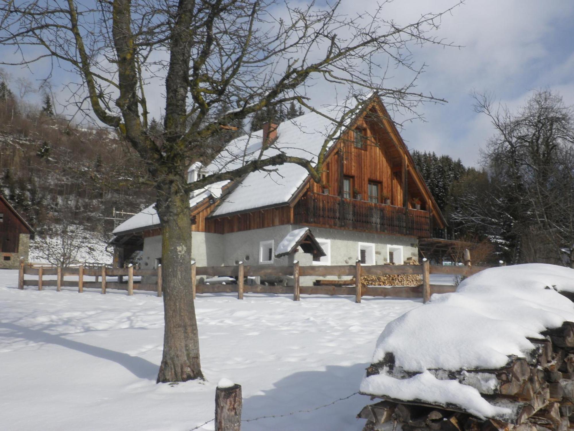 Ferienhaus "Zur Alten Schmiede" Mariahof Esterno foto