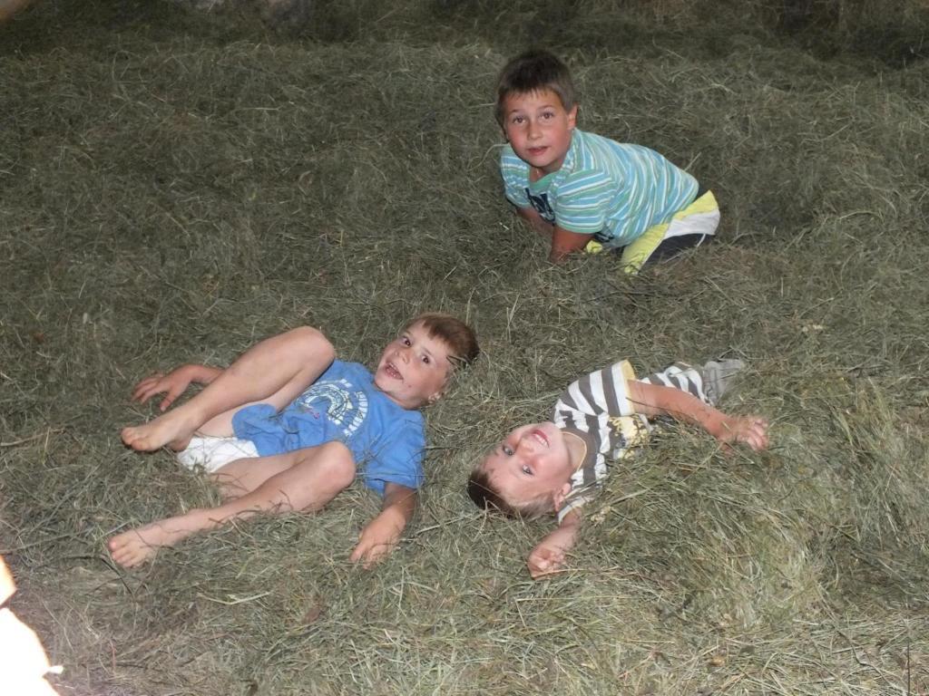 Ferienhaus "Zur Alten Schmiede" Mariahof Esterno foto
